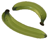 Bananas