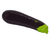 Eggplant