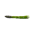 Spargel