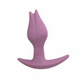 Tulpe