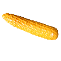 Corncob
